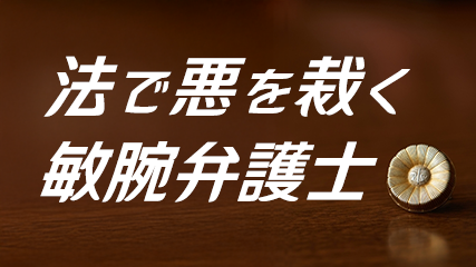 法で悪を裁く敏腕弁護士