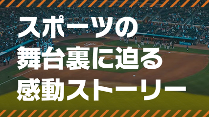 スポーツの舞台裏に迫る感動ストーリー